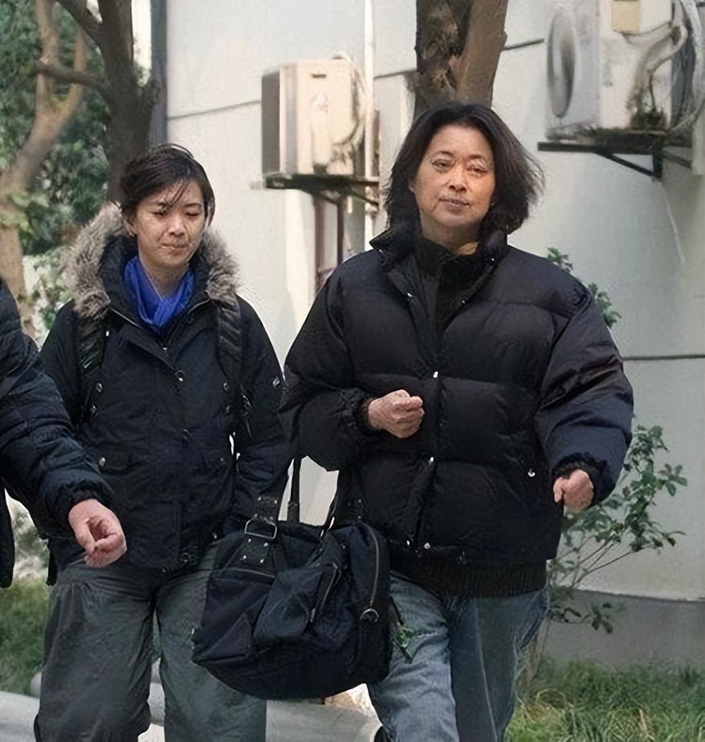 倪萍最新近照展现岁月静好，优雅依旧的风采