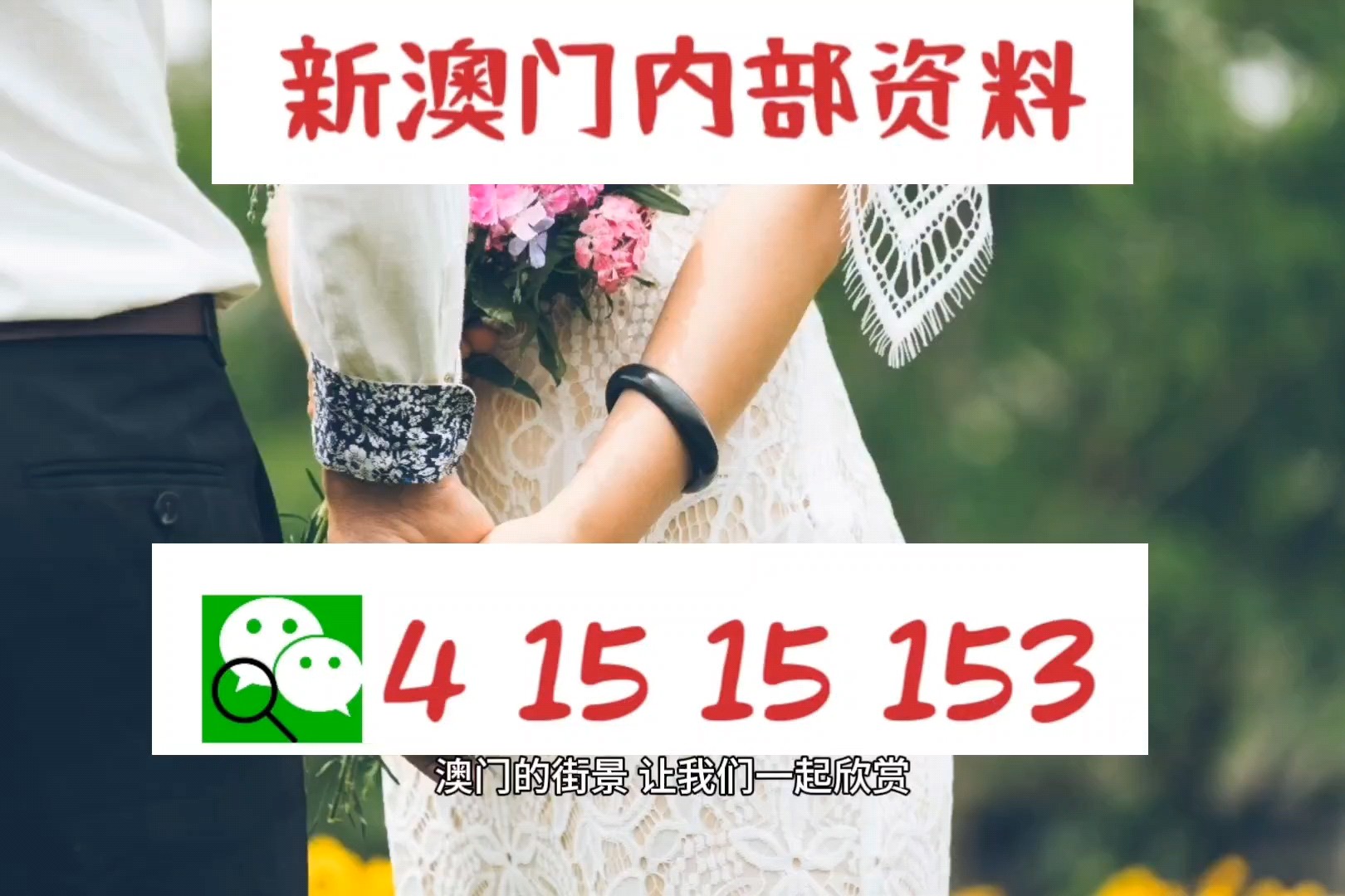新澳门今晚精准一肖,最新碎析解释说法_见证版15.492
