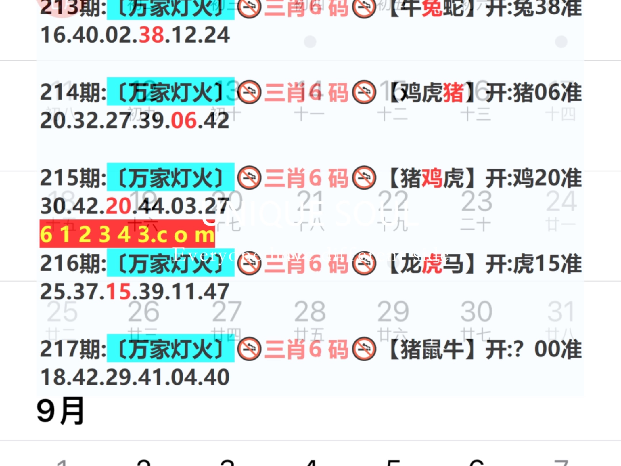 2024年344期奥门开奖结果,灵活执行方案_传承版78.579