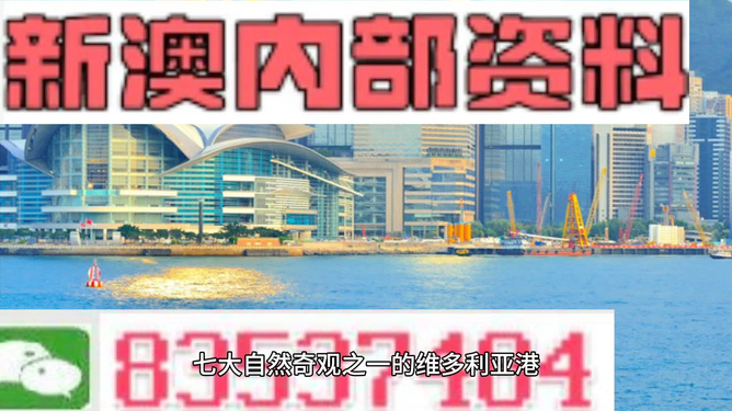 2024新澳精准资料大全,实践调查说明_内置版78.366
