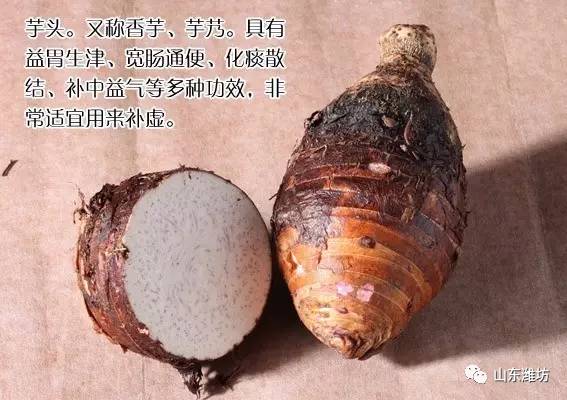 园林绿化 第147页
