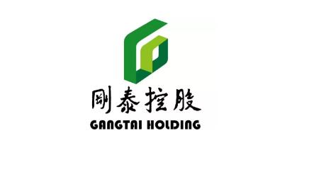 刚泰控股最新动态，小巷深处的独特风味探索