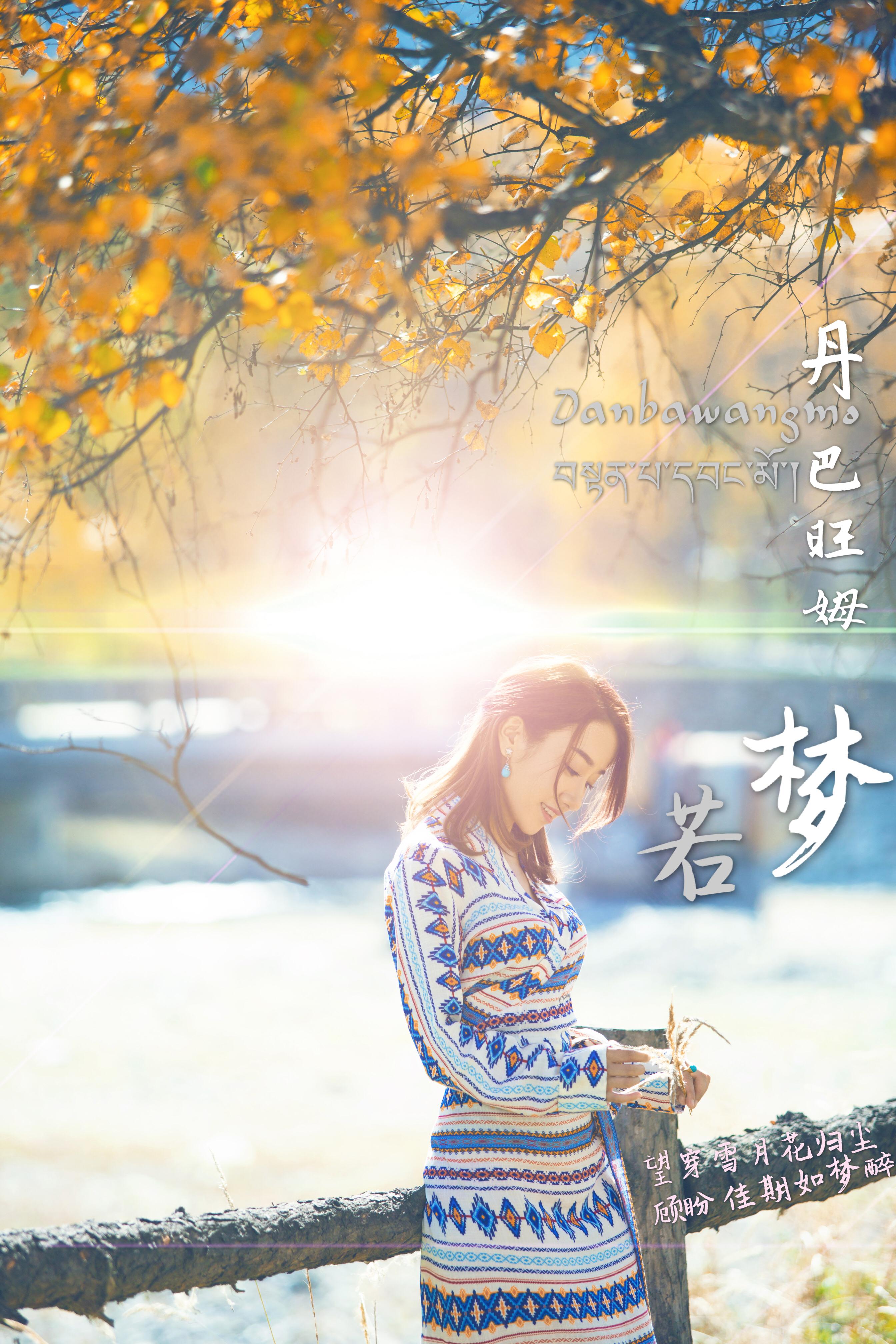 若梦最新，背景、事件、影响与时代地位分析
