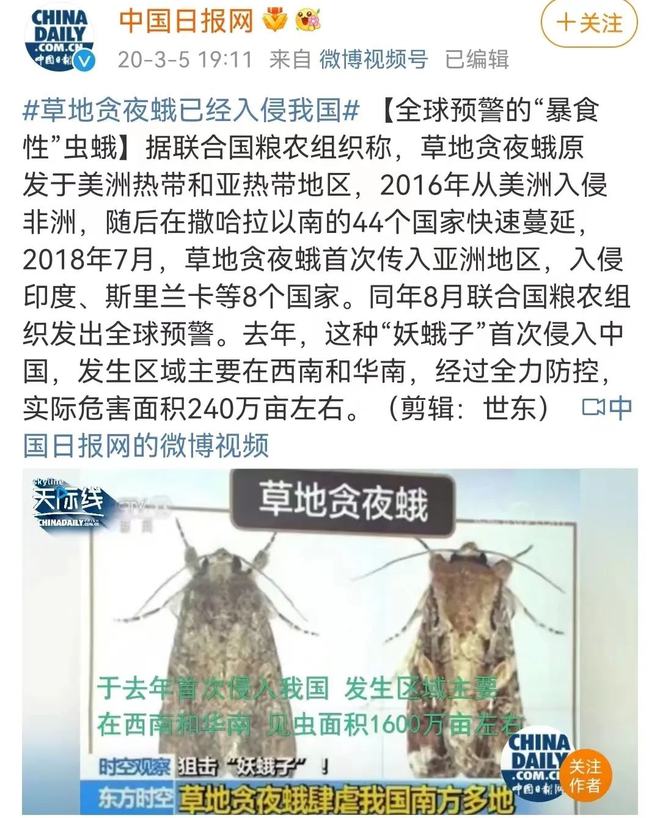 蝗灾最新疫情，应对与防控的详细步骤指南