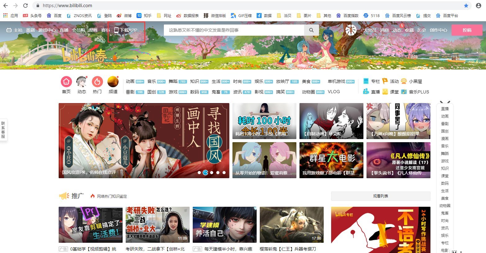 时代背景下的网络繁荣，最新国产网页发展概览