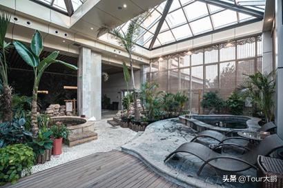 风筝小镇最新资讯速递，动态更新与活动展望