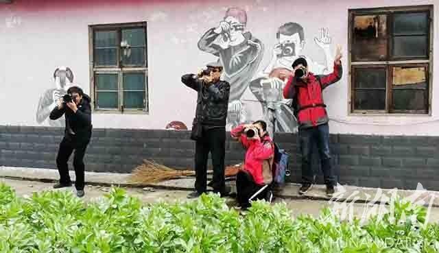 南县罗文村花海盛景，自信与成就感之花的绽放