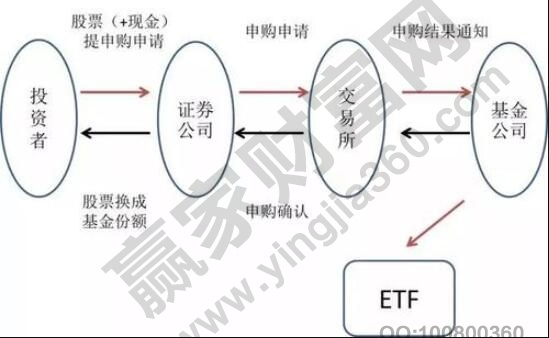 配售股上市解析与跟随自然美景的旅行体验