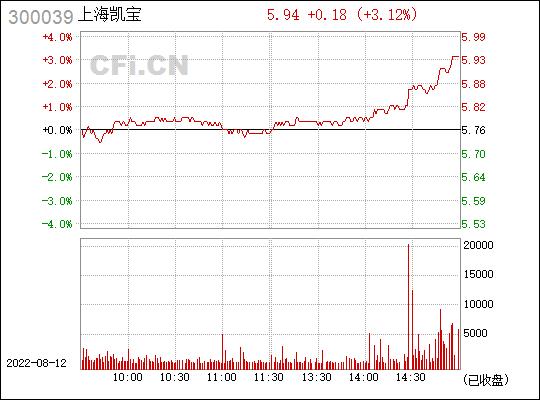 关于上海凯宝股票（代码，300039）的深入探讨与热议
