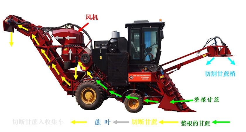 最新柳产甘蔗收割机及其操作指南