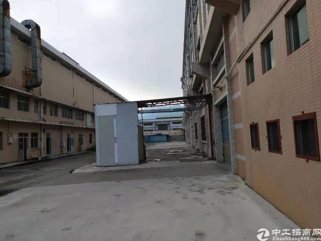 仙村镇最新任务指南，如何快速完成一项任务或学习新技能？