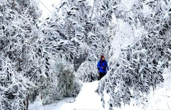 陕西雪景下的励志故事，自信与成就感的旅程
